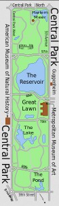 Übersichtskarte des Central Park. Südlich vom Reservoir das Metropolitan Museum, direkt darunter die 79. Straße, in der Dorothy Arnold wohnte